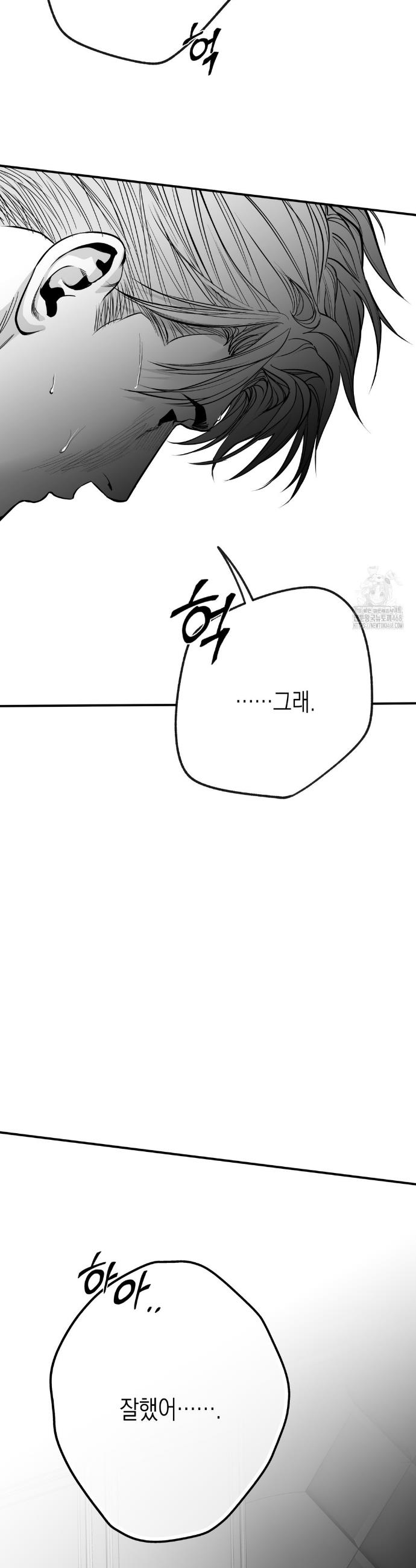 17407969195864trfwdxl85c.jpg