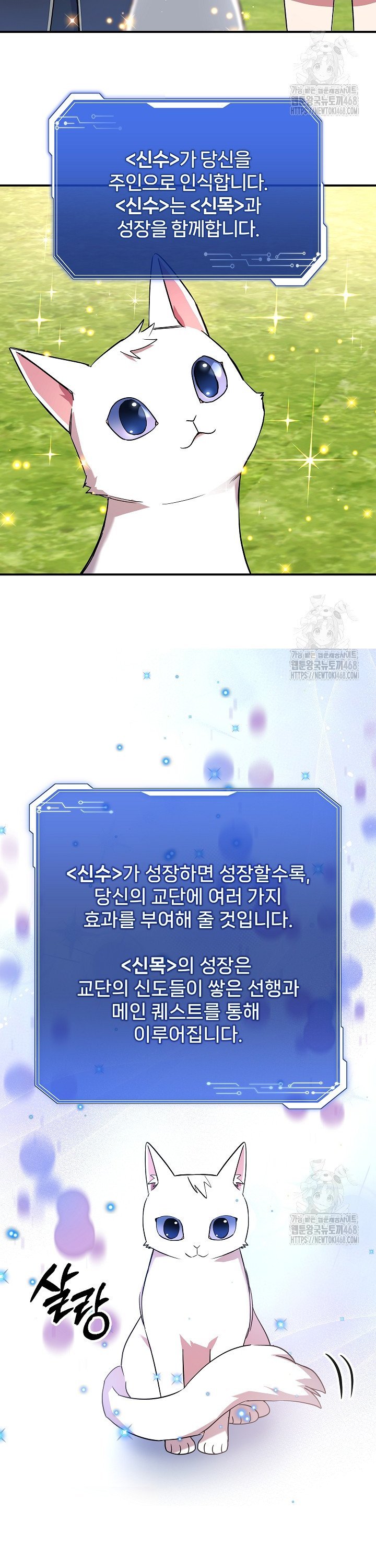 1741656475683ljmcujcpztr.jpg