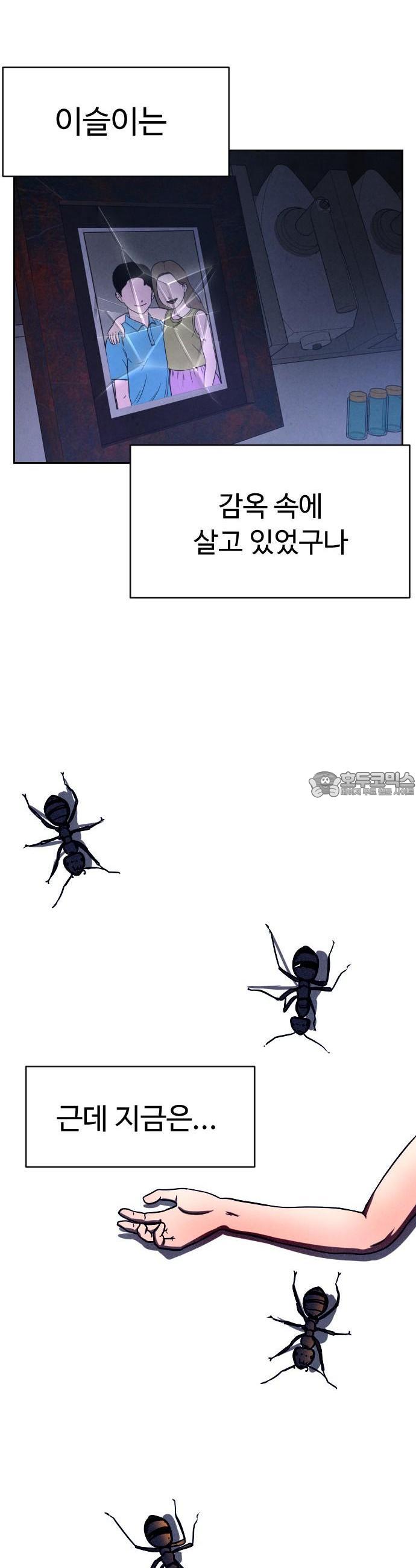 1741821385652cg1prbptdkh.jpg