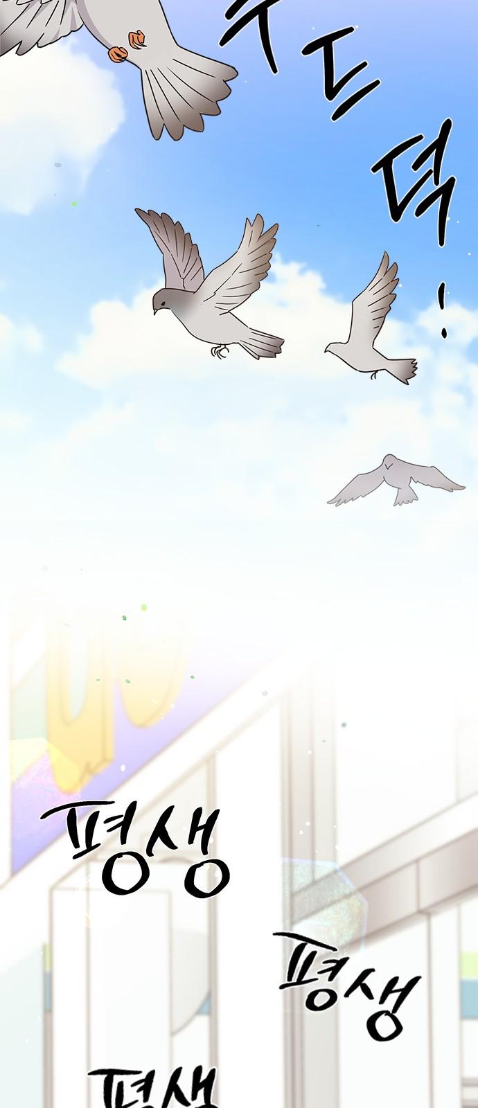 1741900384520twr6if9fixn.jpg