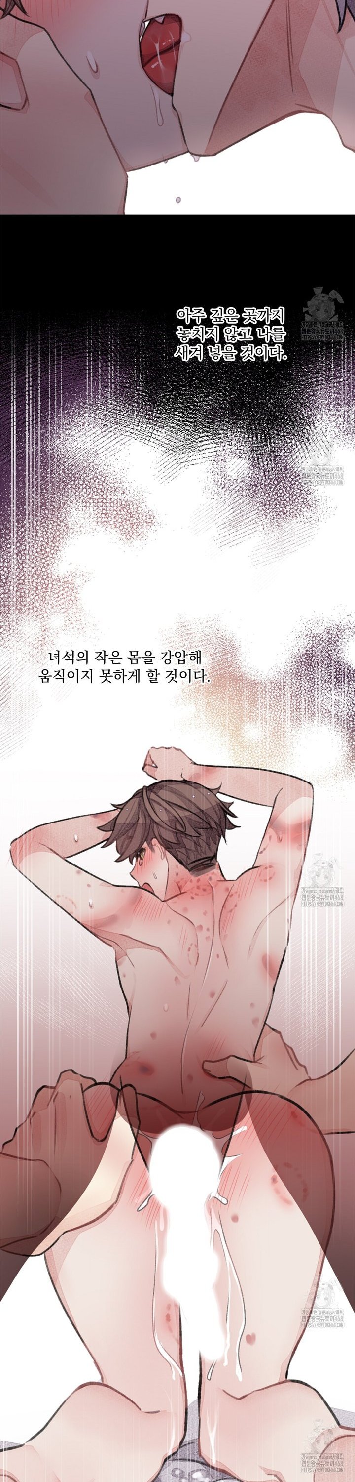 1740870455796ow4hzkxn7ho.jpg