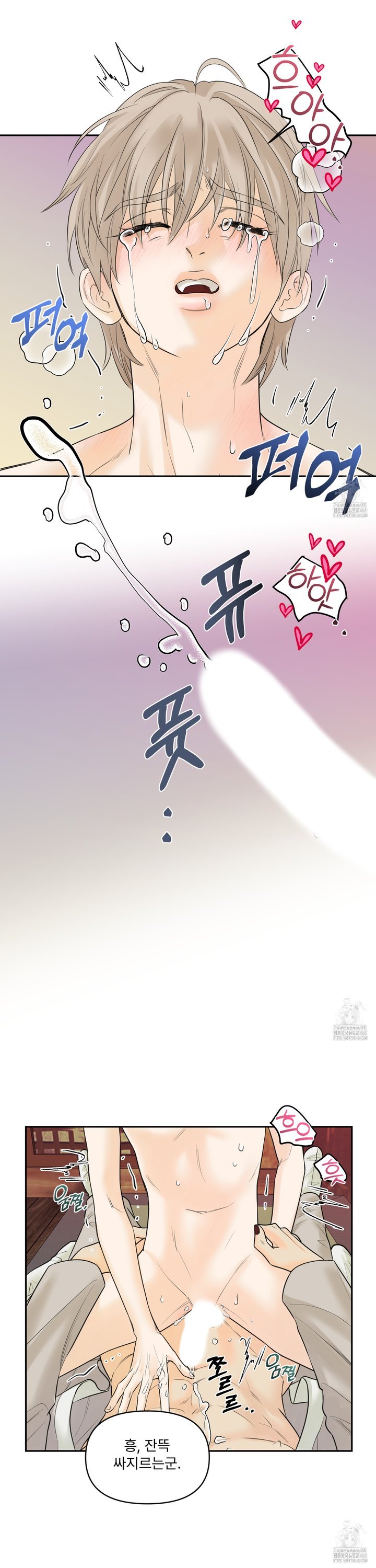 1740870807088s1t4nmrnkr.jpg