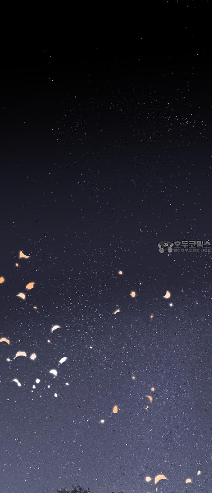 1740870595798s5sfn512jr.jpg