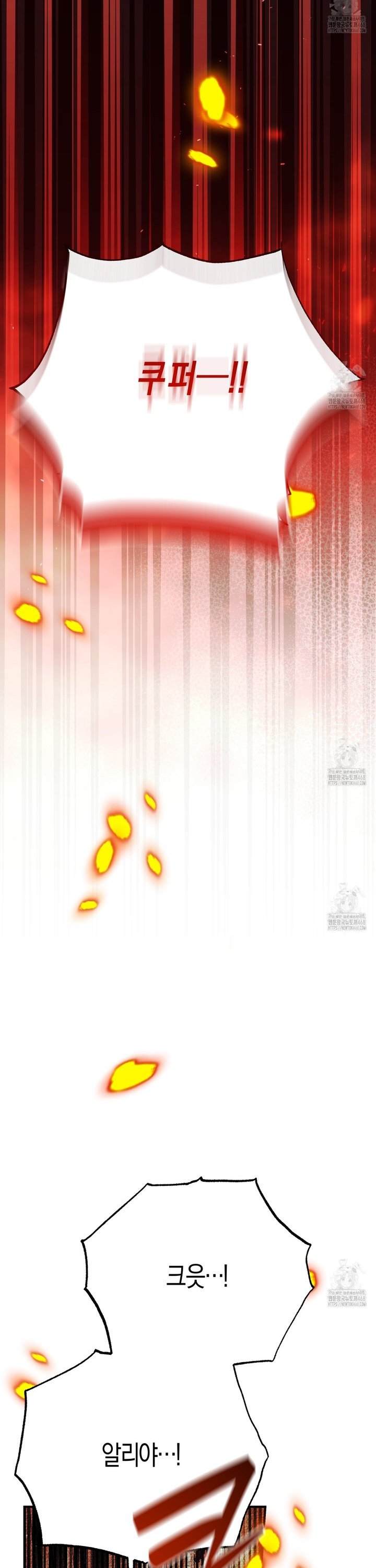 1742599426286rvnbx5s4zea.jpg