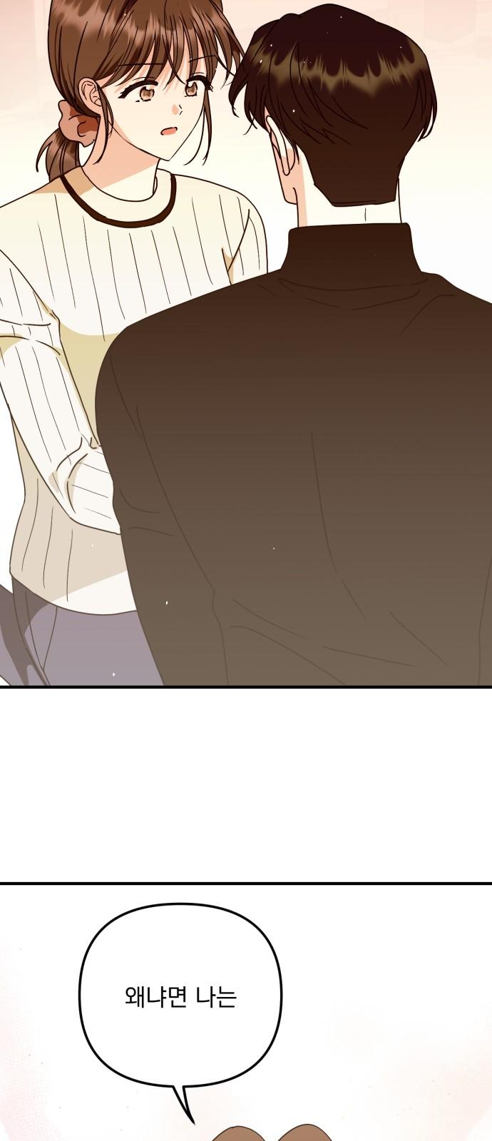 17426908709990favisdberl.jpg
