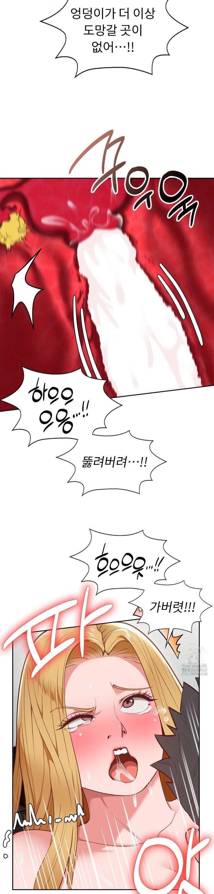 1742938270674wanmv6xww8m.jpg