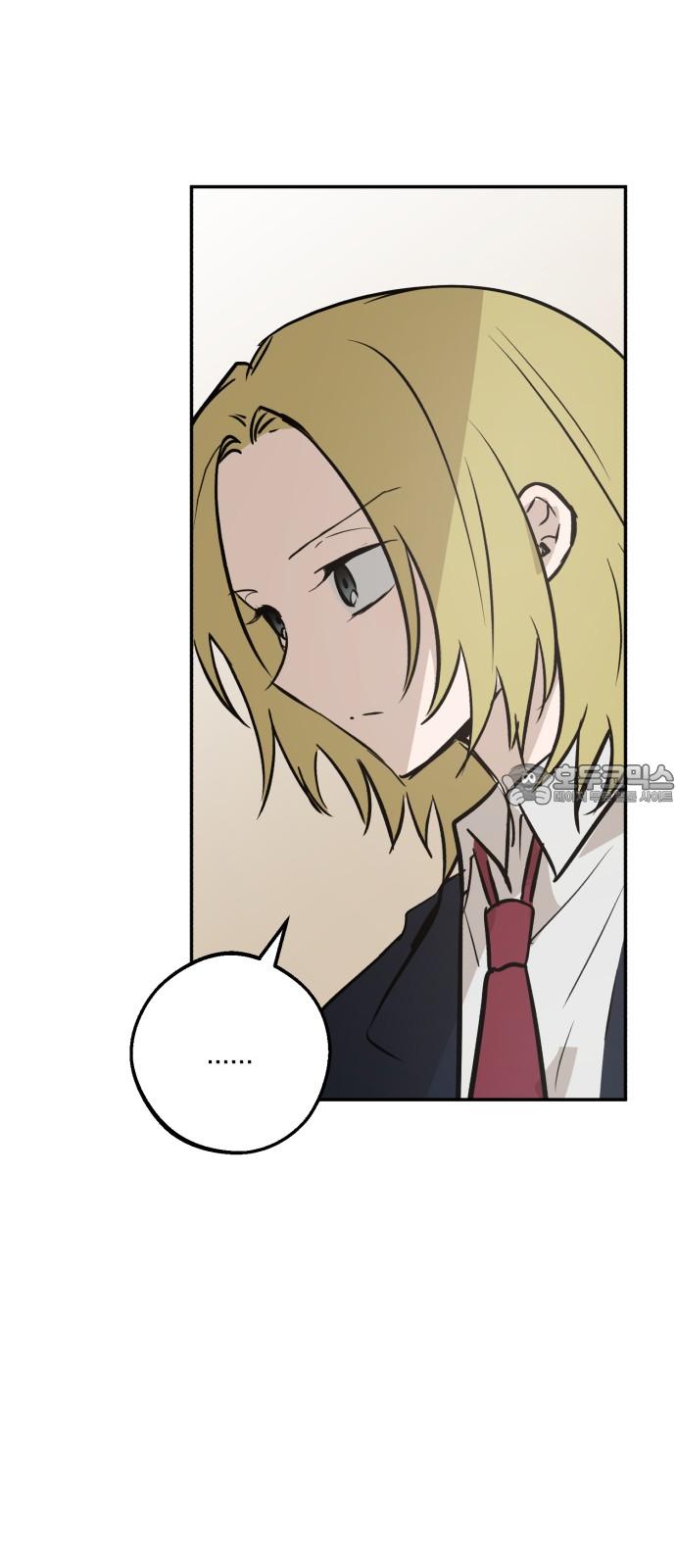 17430252957774fotoreq3wb.jpg
