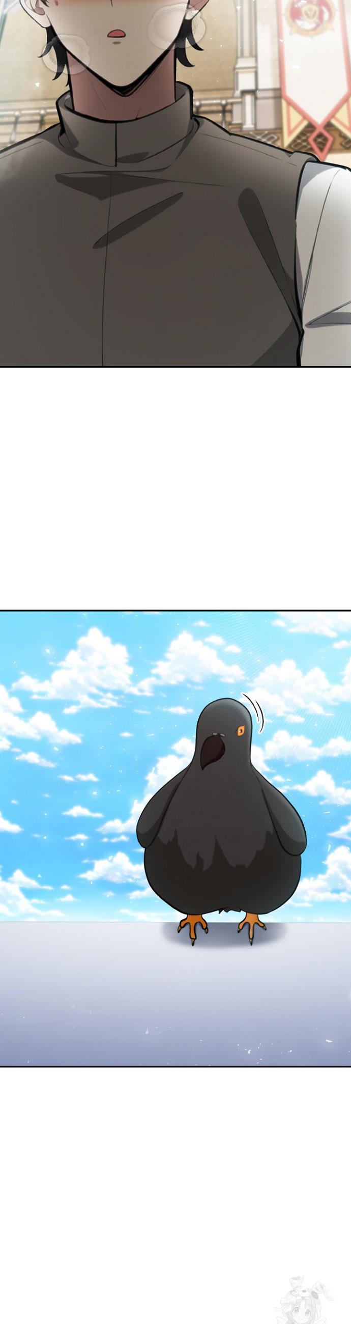 1743026421474sck2x4hq8u.jpg