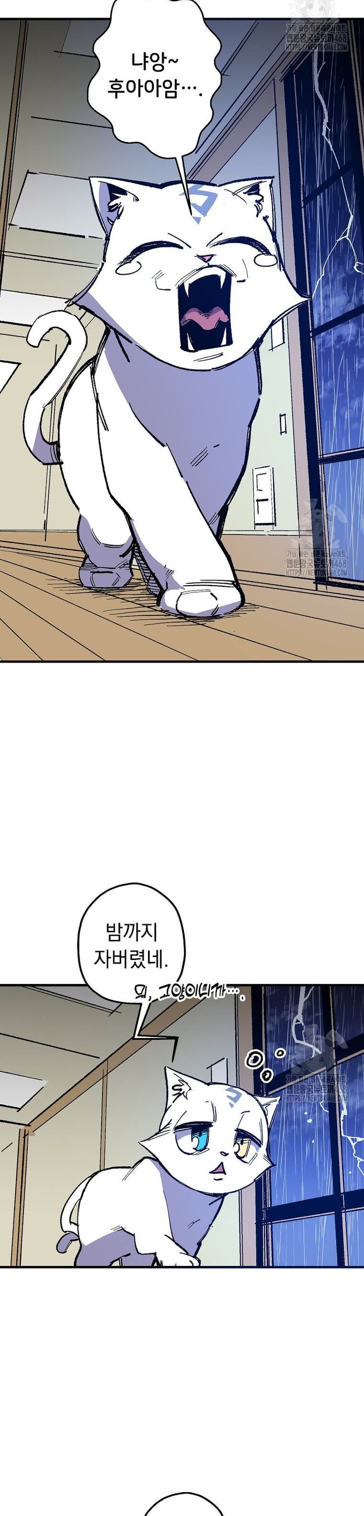 1743024733633v2kbvz5seok.jpg