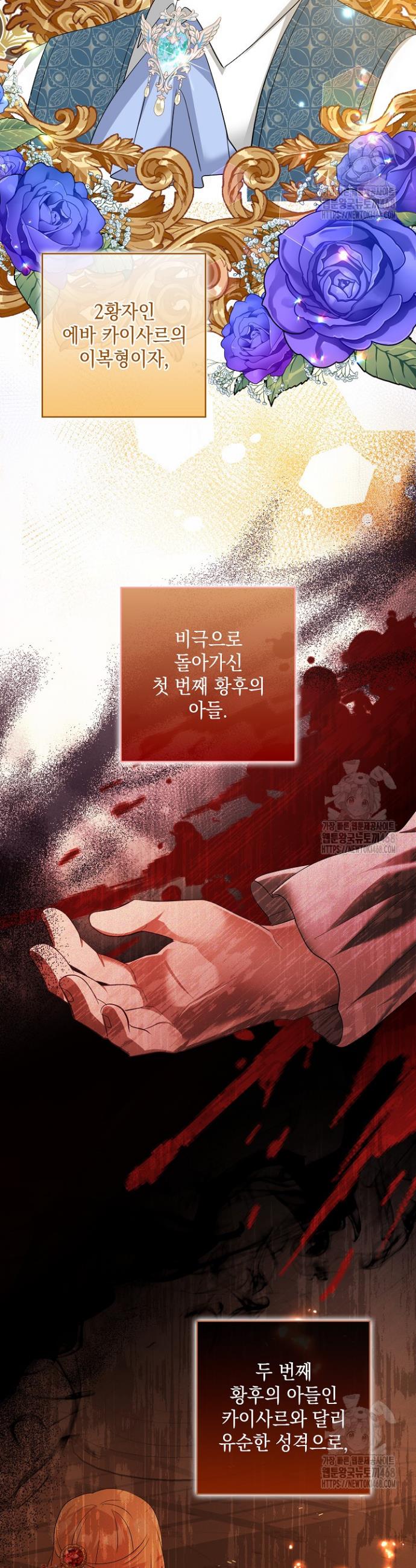 17431106826403plyowpvph6.jpg