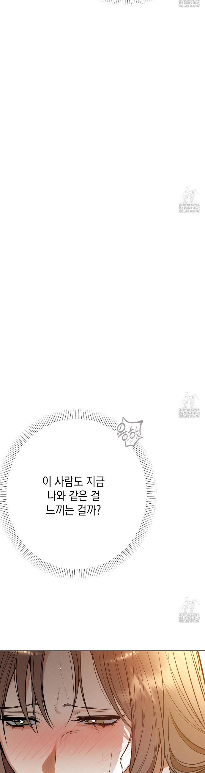 17409875133295np117mcvnd.jpg