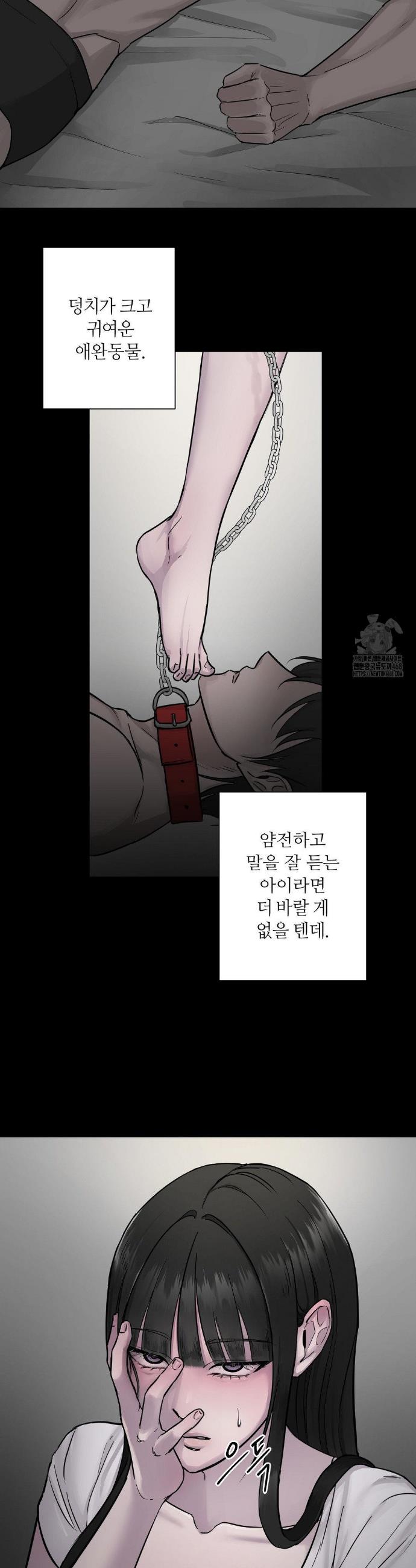 1740930619120kf5zufdn1pp.jpg