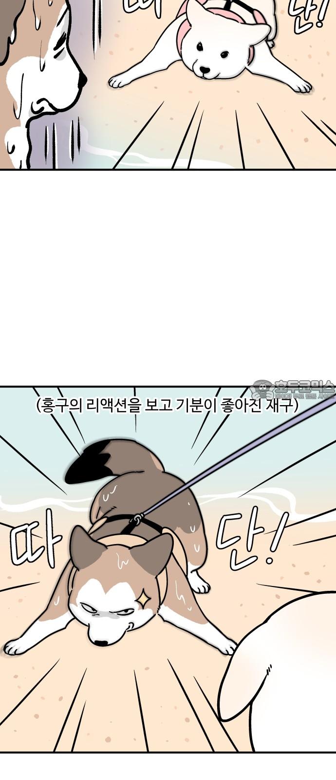 17433771480070m35dsy19ao.jpg