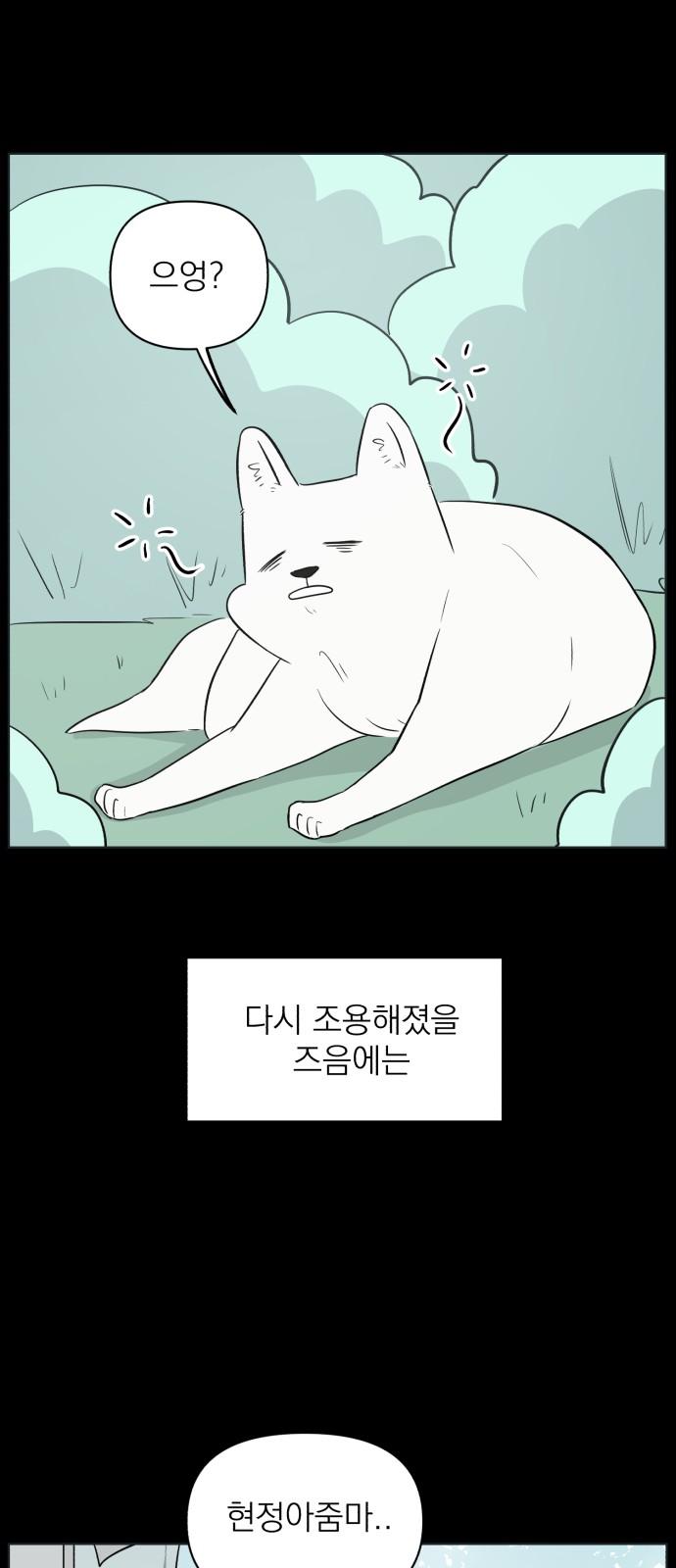 1741042102894dgobsrxqirg.jpg