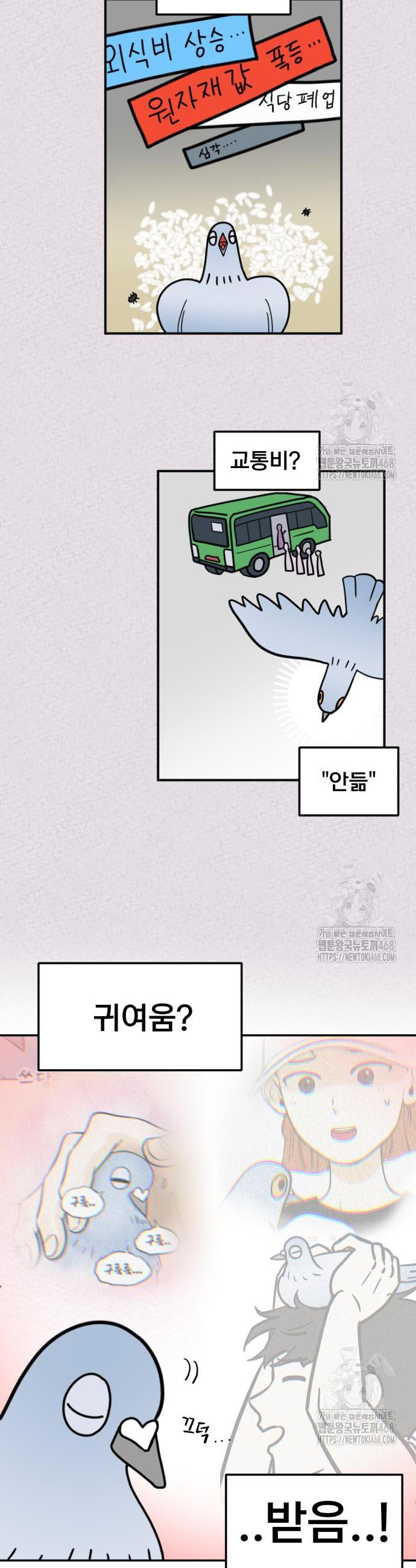 1741041742187shc47nffny.jpg