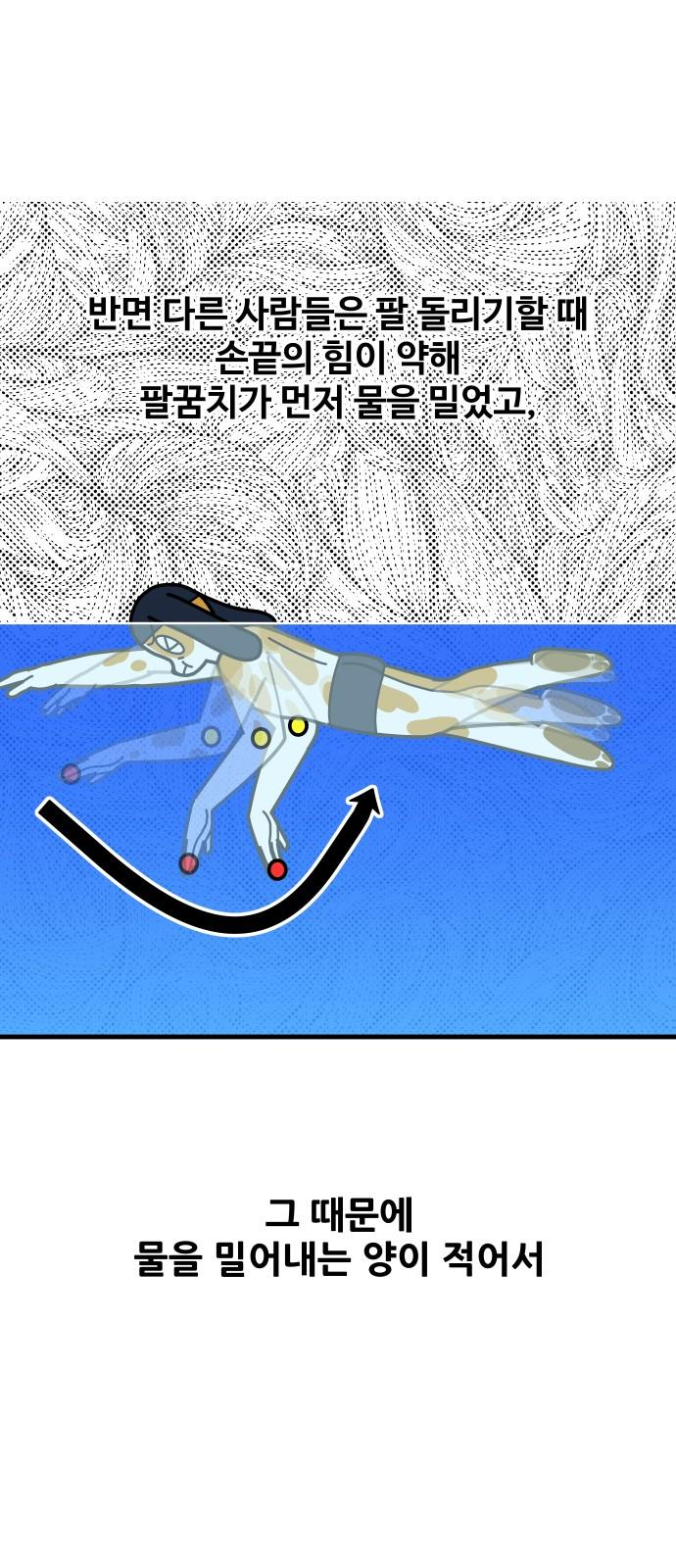 1741235070614kuvg3e4xxms.jpg
