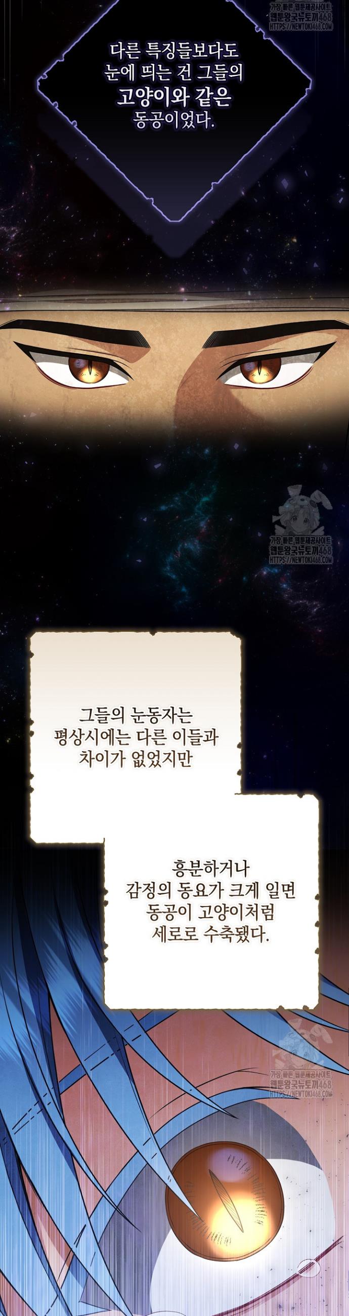 17435002346610s6aoseo5yb.jpg