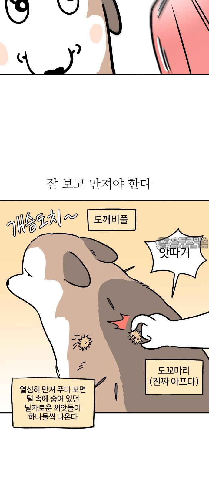 1744243949919c1a6sgbabcg.jpg