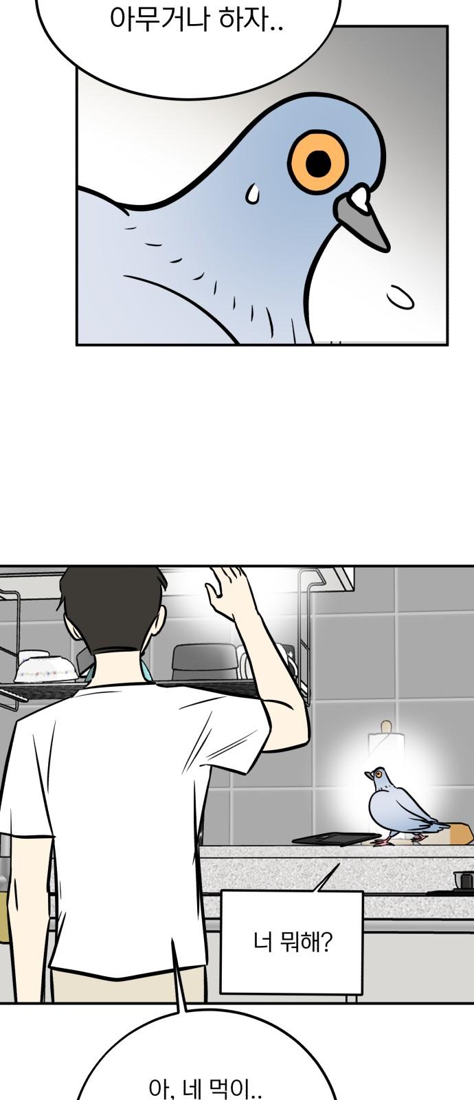 1744326554628ywmnzmwc97e.jpg