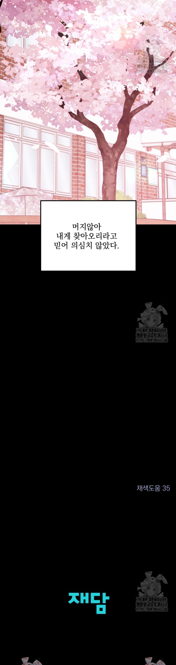 17443247713587mkkoi9r596.jpg
