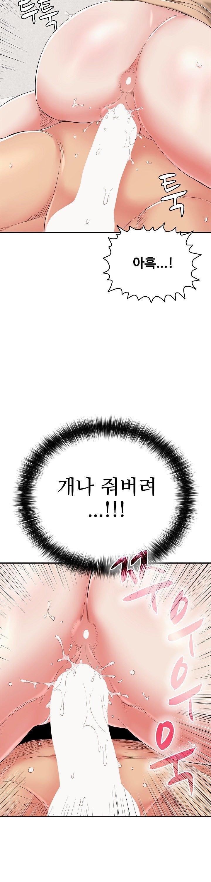1744494408378xjb0nkop4jj.jpg