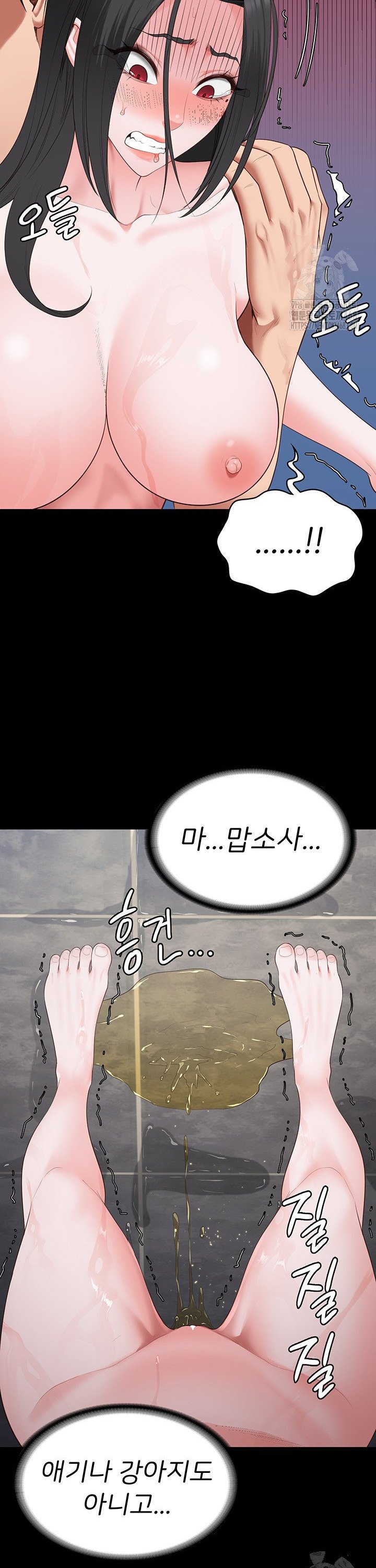 1744762954875orrnvgh49yc.jpg