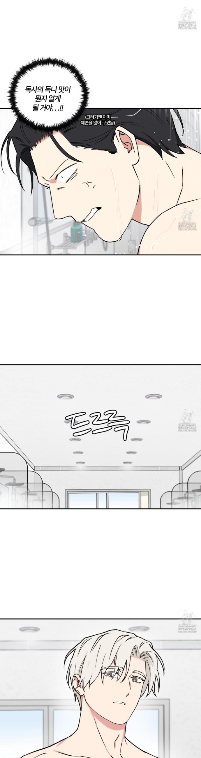 1744760783175x18p7lxbasr.jpg