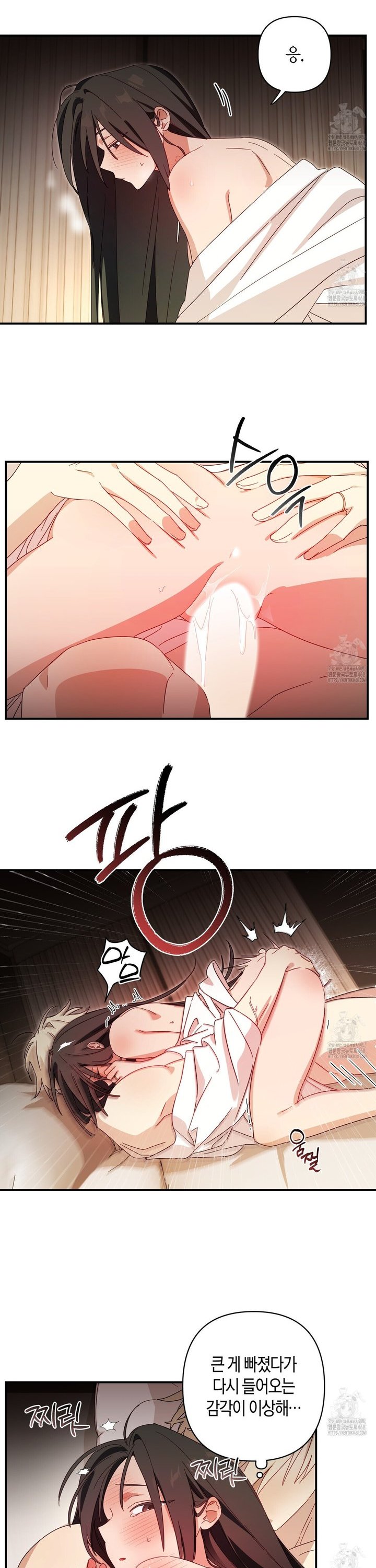17447627532162sa879315x.jpg