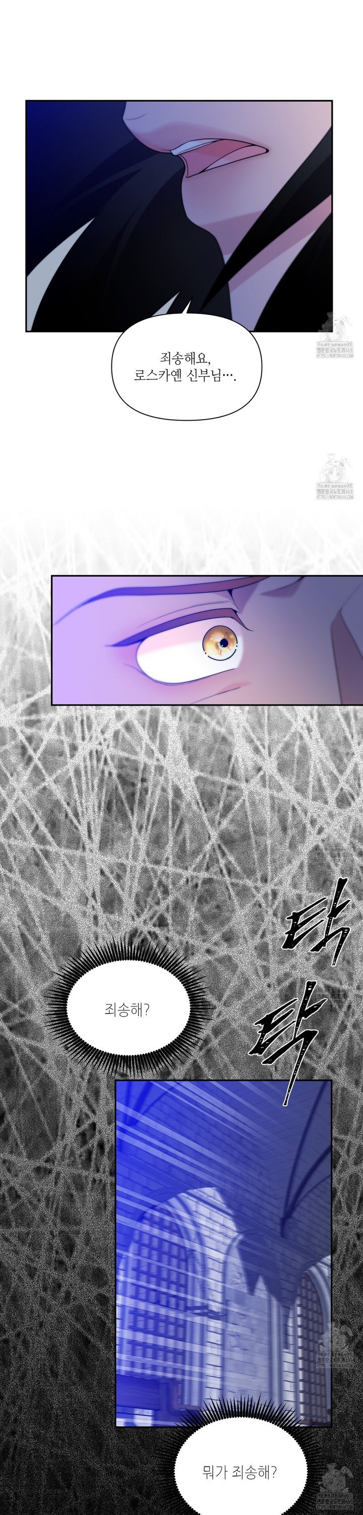 174486440683151wxysfq5le.jpg