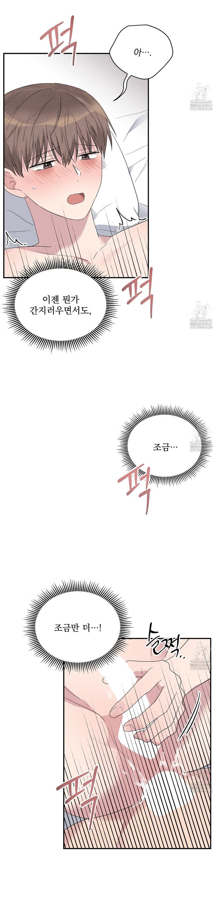 17448645026484zjpl8ymoah.jpg