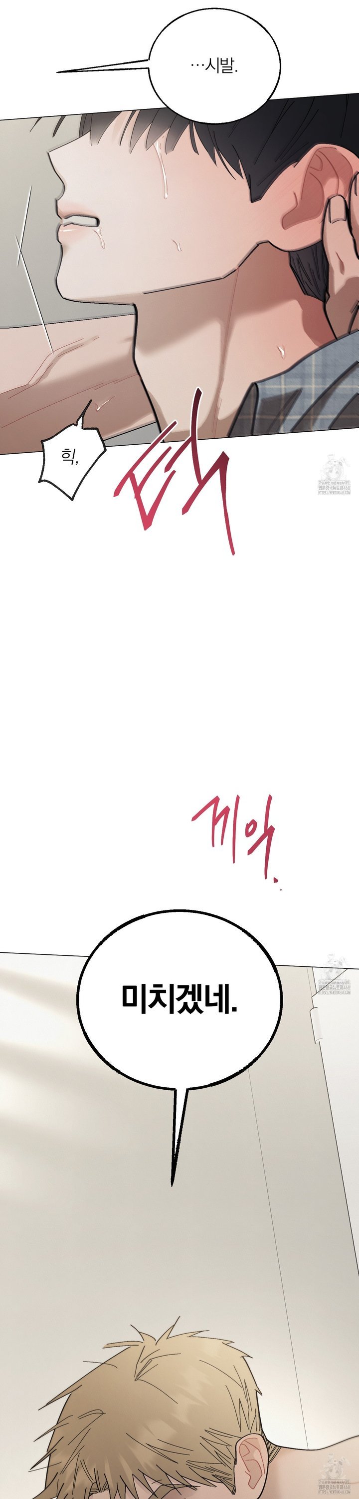 1744843744794x1yelsuaam.jpg
