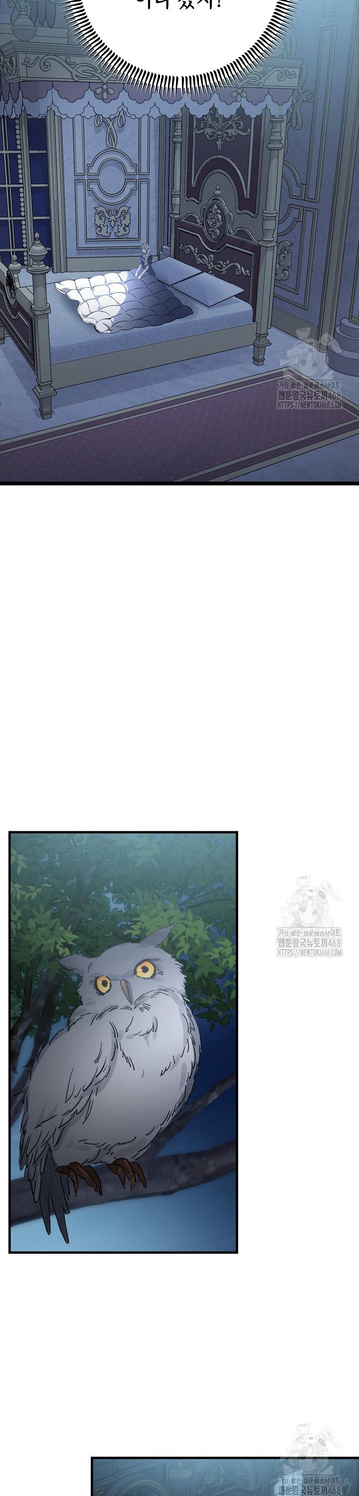 17449435278980hh8okdume8.jpg