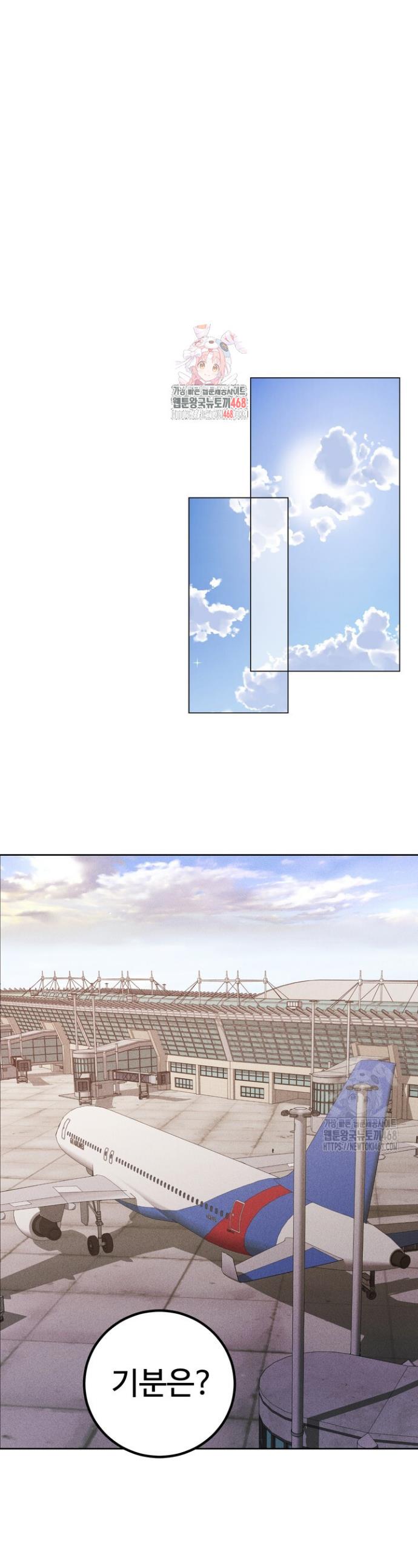 17449435354497sshfrkiqmp.jpg