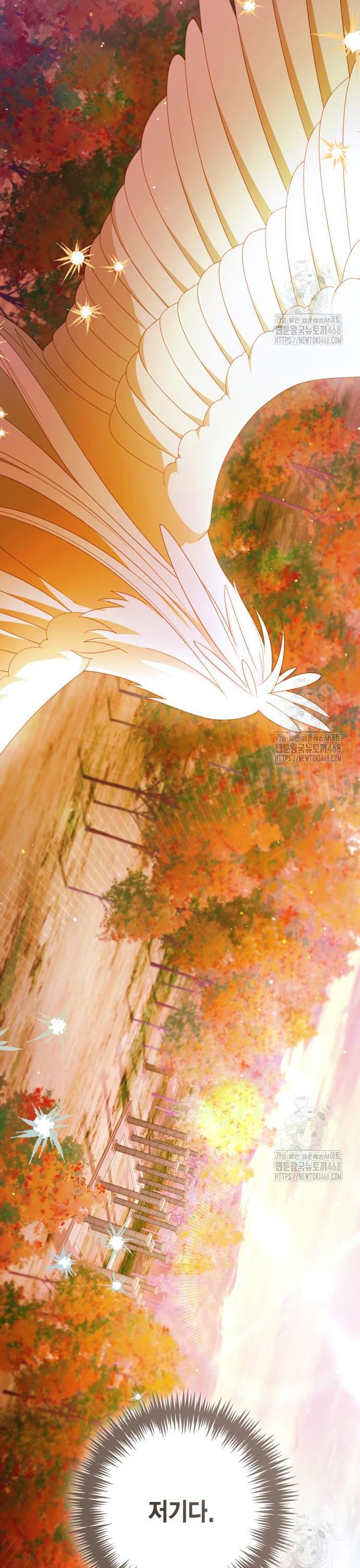 1745047132363ywgi0455lp.jpg