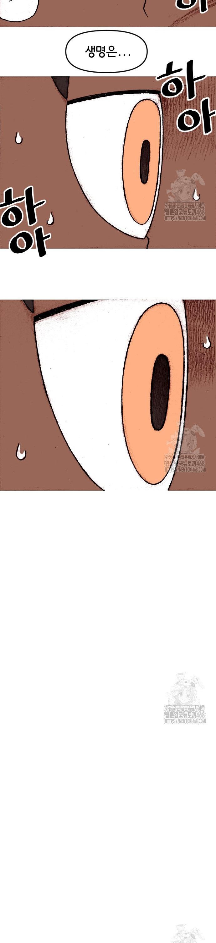 1743551986106svjkq13brr9.jpg