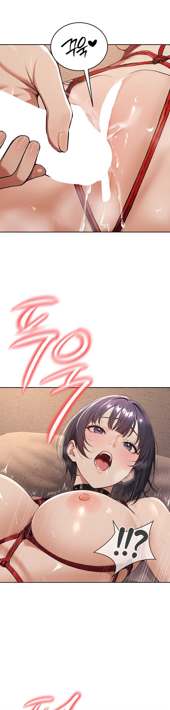 17450989963779hchhw63jbl.jpg
