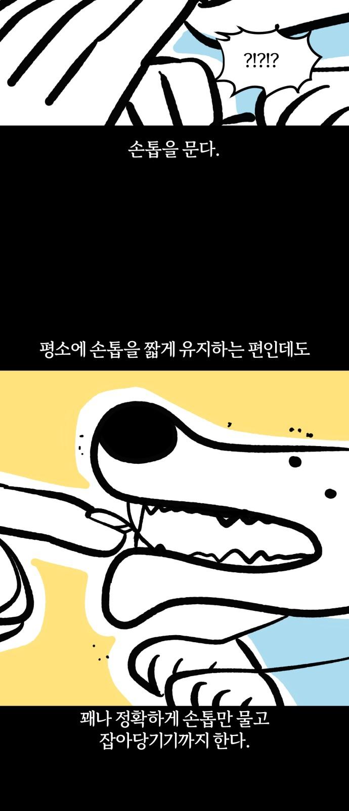 1745274805237axxpmpgwdur.jpg