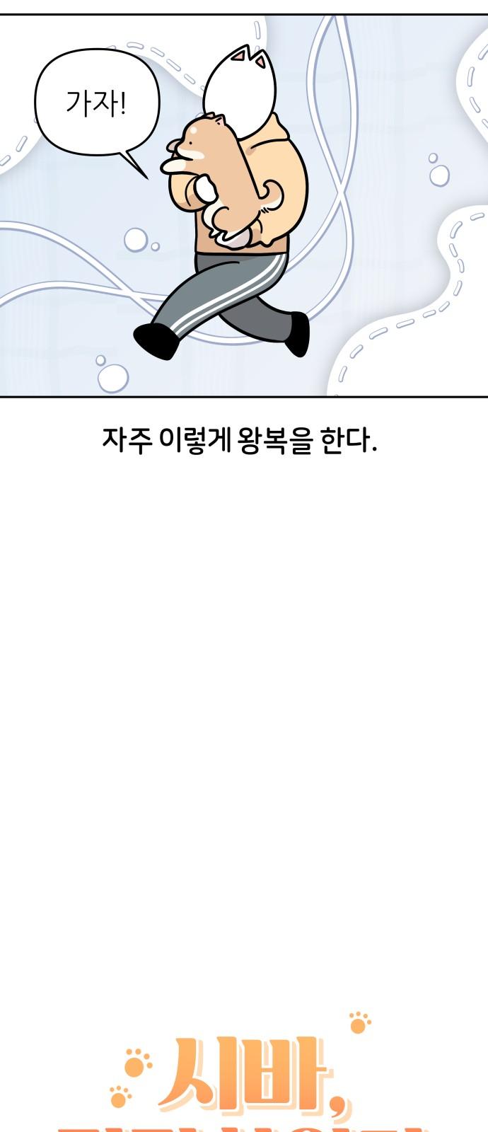 1745362662563jll0x8ft96p.jpg