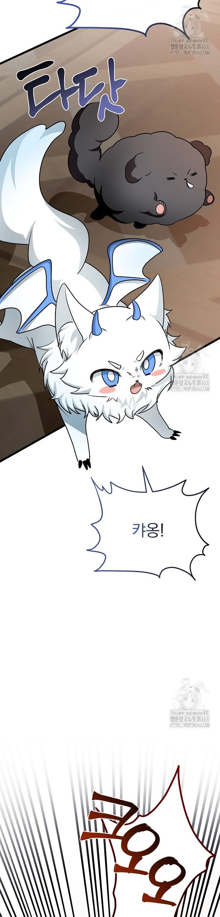 1745567959195huypzq9oic.jpg