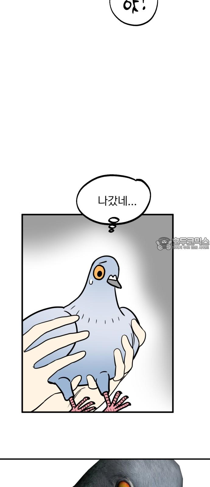 1745509826596ww9kip8yg0l.jpg