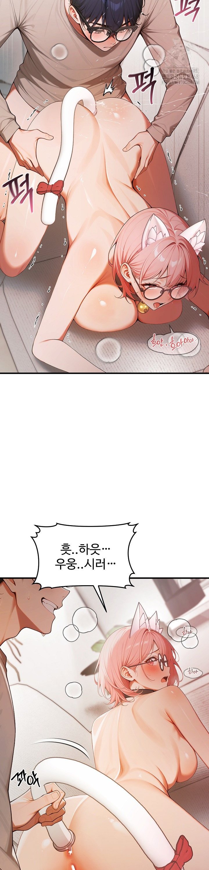 1745623434113ssncatev1sn.jpg