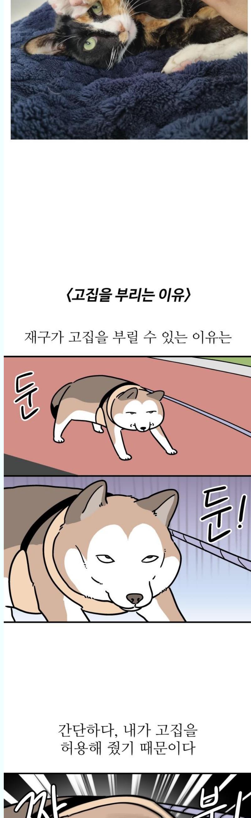 1745907438202ksmkt902qkt.jpg