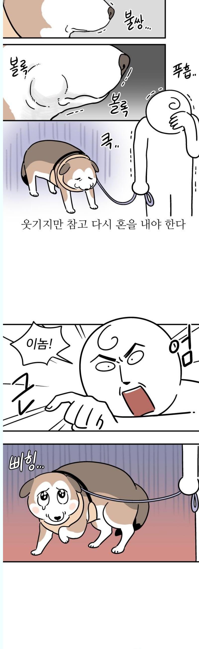 1745907438525zcdq64c8lkc.jpg