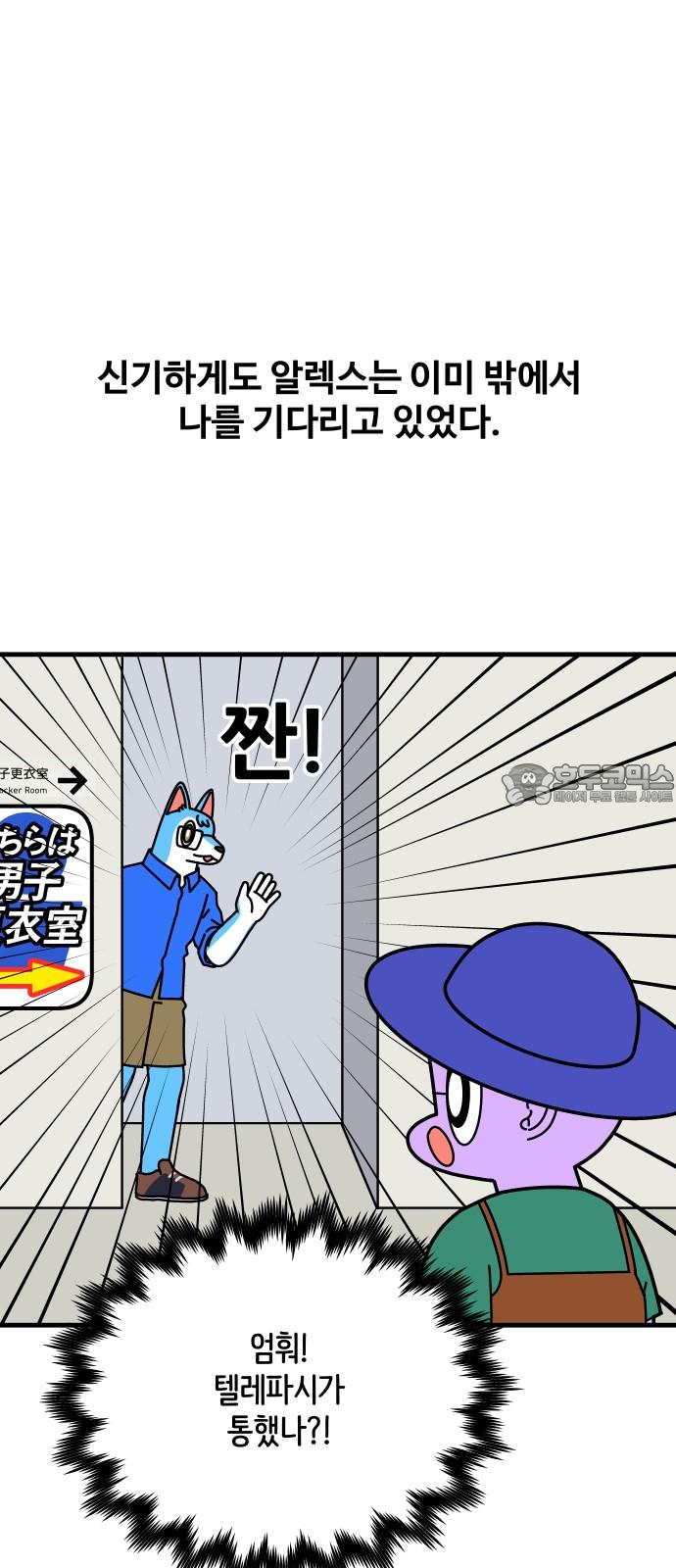 17436527692596wtypfu97oc.jpg