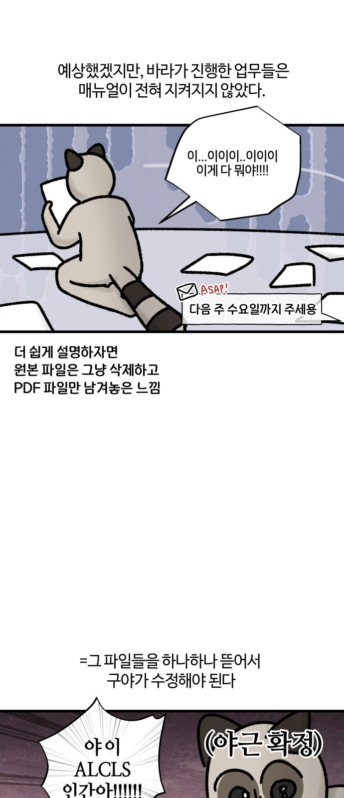 1743975135369yfg2f81shz.jpg