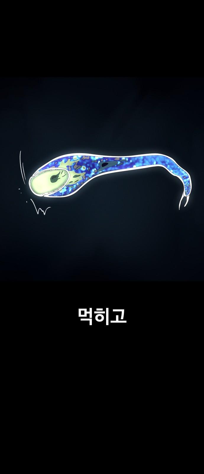 1744061784402a2kr80vk9hr.jpg
