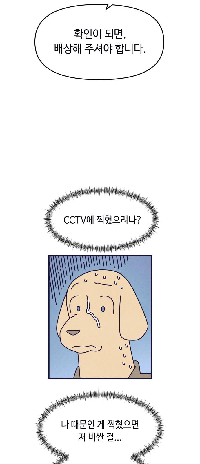 17441523247084xdo975udvx.jpg