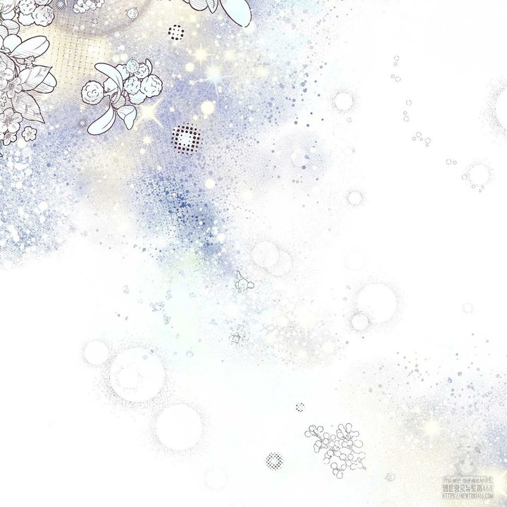 1744154802297pgm83dfr81h.jpg