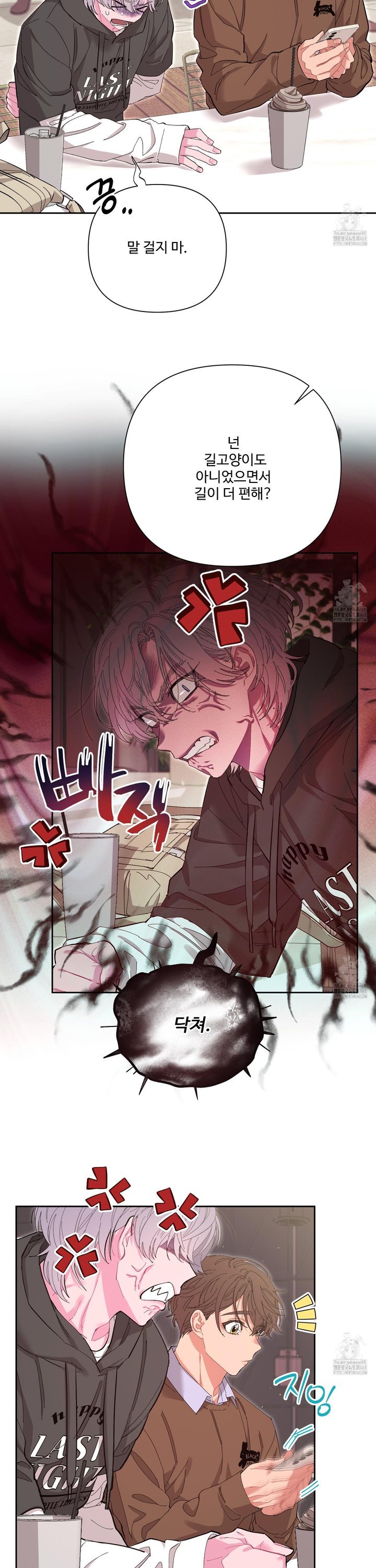 1744154834276xej1if4lfwq.jpg
