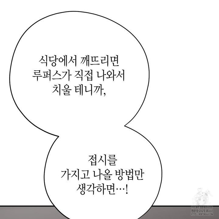 1744152822227jk93lnvzivn.jpg
